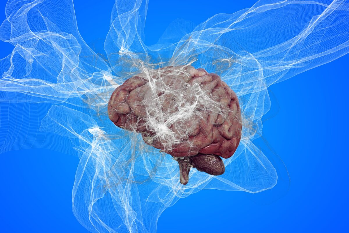 La maladie d'Alzheimer : Comment reconnaître les premiers signes