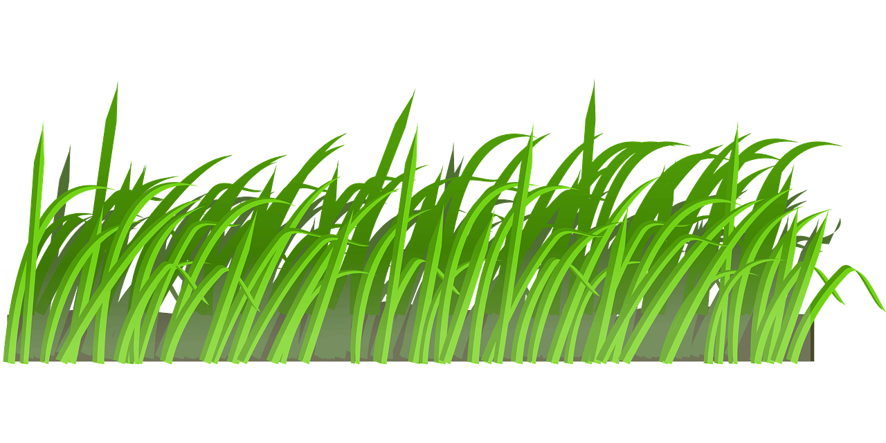 Comment fabriquer un herbicide puissant, naturel et biologique